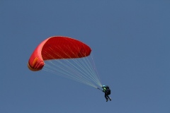 IMG_0117-1