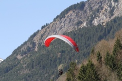 IMG_0254