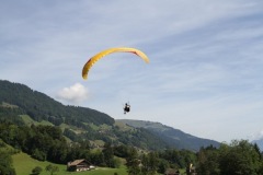 IMG_0754