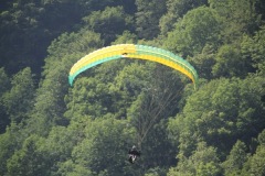 IMG_0964