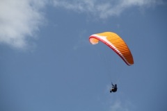 IMG_0976