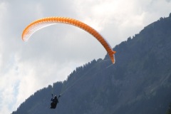 IMG_1009