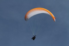 IMG_2589