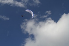 IMG_5061