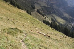 IMG_5138