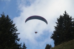 IMG_5153