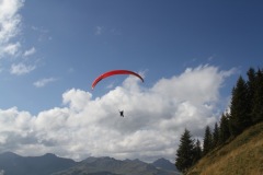 IMG_5225
