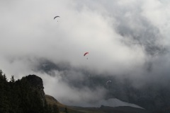 IMG_5255