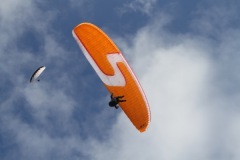 IMG_5306