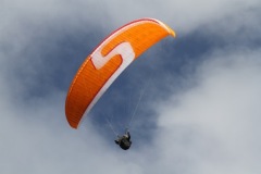 IMG_5319