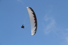 IMG_5342