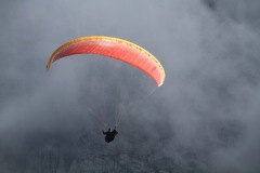 IMG_5373