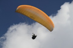 IMG_5388