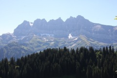 IMG_6961