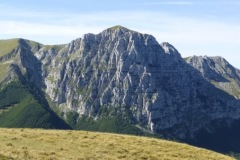 P1170658